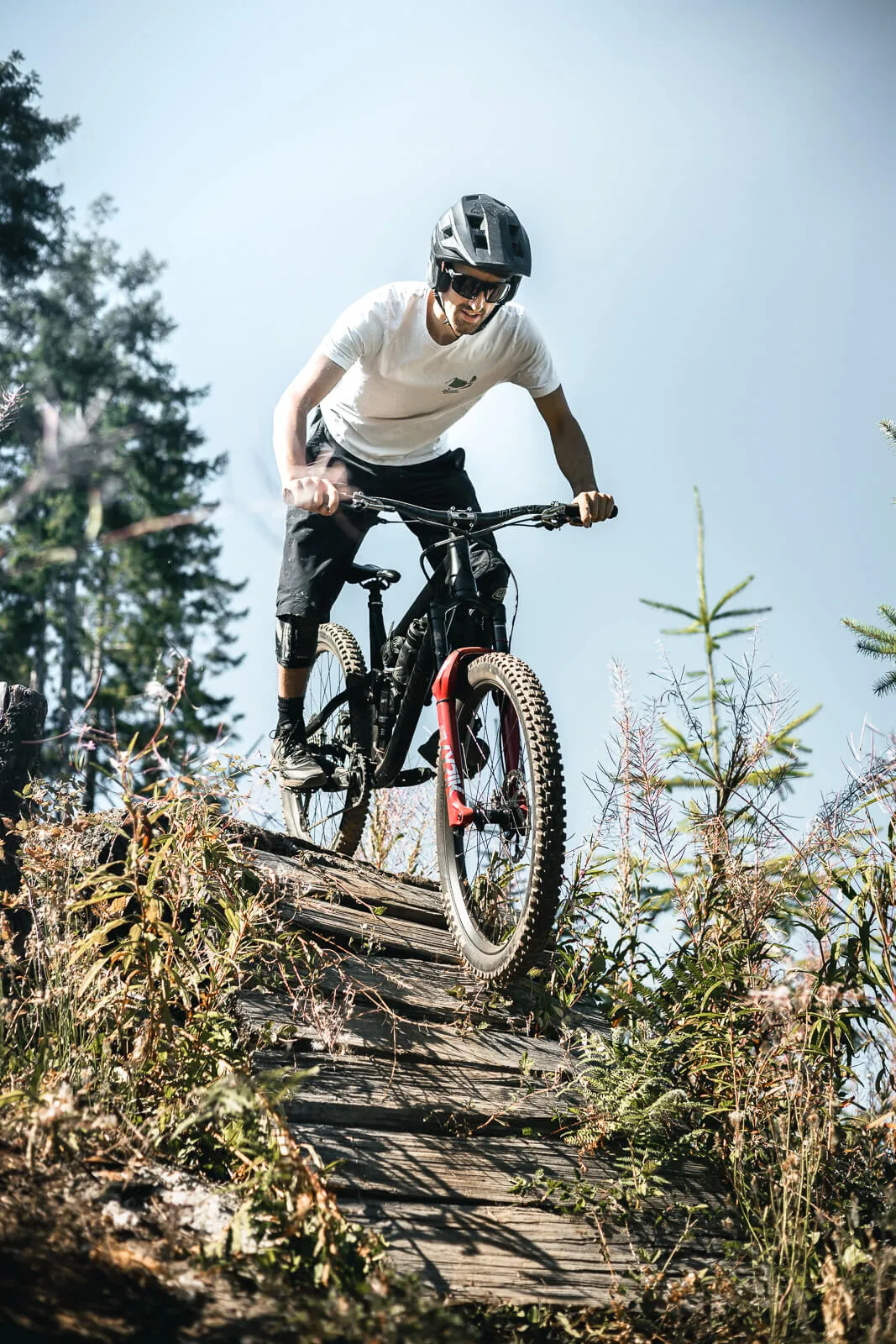 Banoptics Performance Eyewear, riding, hiking, driving