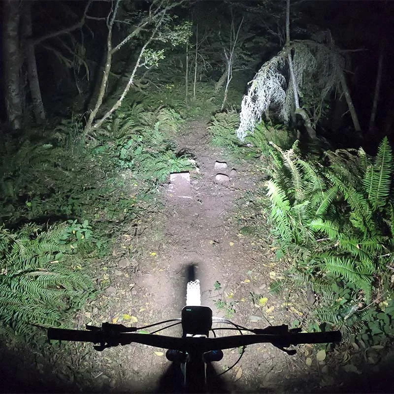 Trail Evo Handlebar Light